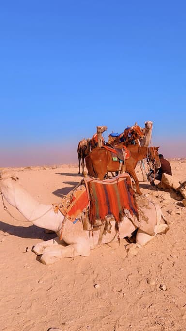 Vision To The World traveler moment
